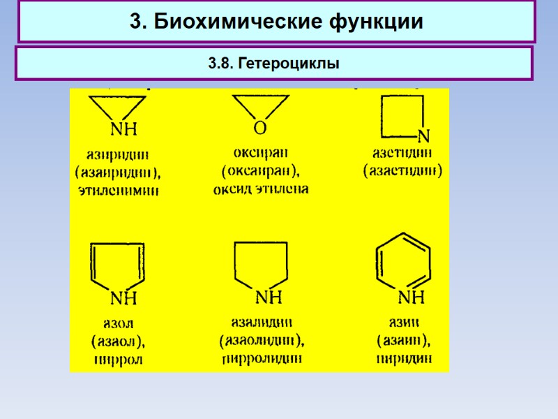 3. Биохимические функции 3.8. Гетероциклы